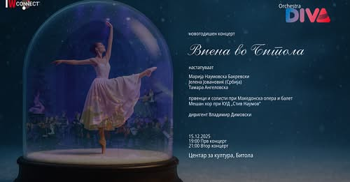 Волшебна ноќ: Успешно реализиран Новогодишниот концерт „Виена во Битола“
